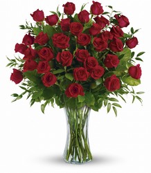 Three Dozen Roses from Schultz Florists, flower delivery in Chicago